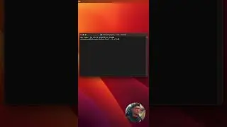 Using Vite instead of Create React App 