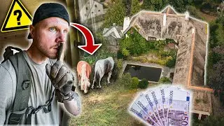 TIERE ZURÜCK GELASSEN? WIR SIND NICHT ALLEIN IN MILLIONENVILLA!💸