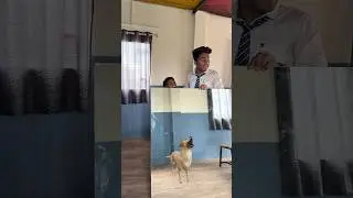 Doli बनी कुत्ती 🦮🤯(part 8) 
