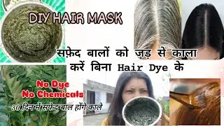 सफ़ेद बालों को जड़ से काला करें बिना Hair Dye के | DIY Hair Mask 🌿🍃