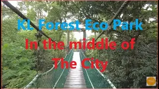 Kuala Lumpur Forest Eco Park