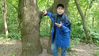 Юлианна Колдовко про беспредел на Навьих Вратах