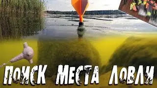 Как найти карпа на любом водоёме? Лайфхак от...