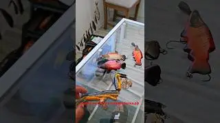 скоро рыбалка #клевая #рыбалка #fishing #якутия #клеваярыбалка