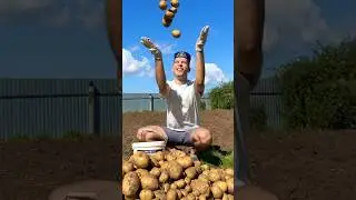 Выкопали картошку?😎🥔 #татарстан #казань #татары #прикол #татарыпоймут
