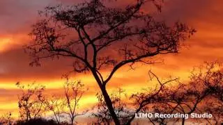 Undeniable - Vibe Tracks