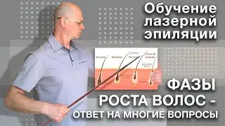 ОБУЧЕНИЕ ЛАЗЕРНОЙ ЭПИЛЯЦИИ | ФАЗЫ РОСТА ВОЛОС