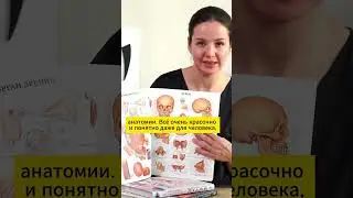 Лучший АТЛАС АНАТОМИИ для массажиста #shorts #массаж #анатомия #мышцы #кости