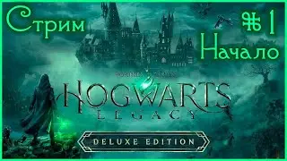 🔴ХОГВАРТС НАСЛЕДИЕ ПРОХОЖДЕНИЕ   Часть 1  Hogwarts Legacy На Русском ➤ Вселенная Гарри Поттера