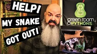 How to Find a Missing Snake in Your House