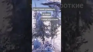 #мысльдня #цитаты