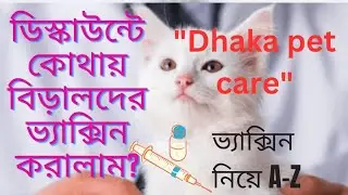 কম খরচে বিড়াল ভ্যাক্সিন করালাম/৩ মাস হয়ে গেলেই ভ্যাক্সিন করান দ্রুত/cat vaccination #catvaccination