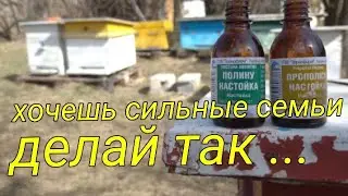Профилактика нозематоза/борьба с клещом варроа/стимулирующая подкормка.
