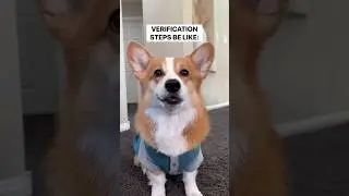 Verification steps are the worst