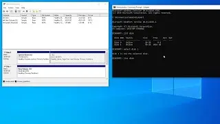 Completely format hard drive removing all partitions (including OEM)