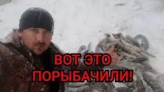 Налим! Рыбалка осенью на стук! Реальная рыбалка на печень и потроха налима!