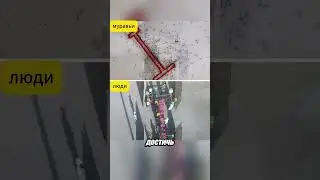 Эксперимент: Муравьи против людей 🧩🐜👨‍👩‍👧‍👦