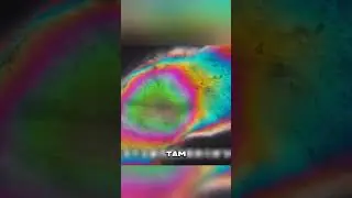 В Антарктиде нашли неизведанный Мир под льдом 😱