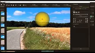 How to use the Selective Editing Function