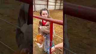 POV: You’re a Hobby Horser…
