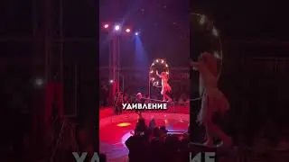 😱Жесткий фейл в цирке🙊👀