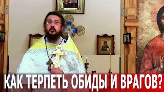 Как терпеть обиды и врагов? Священник Игорь Сильченков