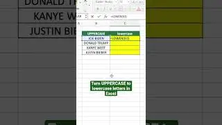 How to turn UPPERCASE to lowercase letters in Excel 