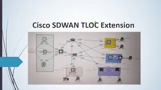 What is TLOC | TLOC in Cisco Sdwan | SDWAN TLOC Extension  #viptela #sdwan #ciscosdwan #cisco