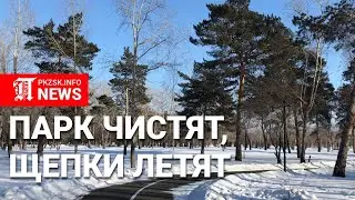 В парке Петропавловска «оранжевые жилеты» убирают снег вместе с молодыми деревьями