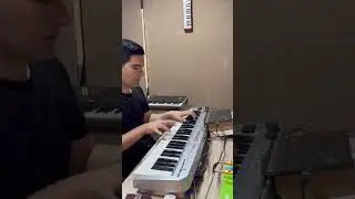 Org 2024 - synth sempl pa4x