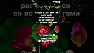 АКТИВИРУЙ ПОСЛАНИЕ! Ставь 👍 Пиши в комментариях "ПРИНИМАЮ!"