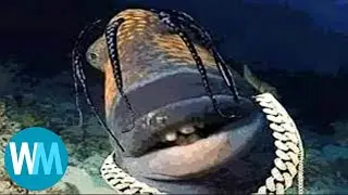 Top 5 Fish