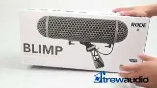 Rode Blimp System
