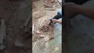 Spyder Scraper For Reciprocating Saw On Glued Down Engineered Wood Flooring