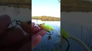 Ловля щуки на МЫШЬ не ЗАЦЕПЛЯЙКУ с дополнительным тройником. #shorts #fishing #рыбалка #щука #рыба