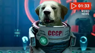 Sowjetischer Weltraumhund Cosmo kommt zu den Guardians of the Galaxy! | News