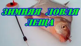 Ловля Леща зимой,на Воткинском вдхр.