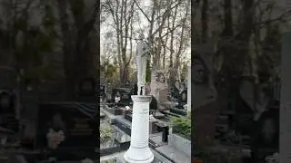 Солнцем весенним, волной серебристой Ты вышла на сцену далёкой и чистой…