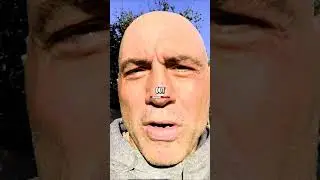 Joe Rogan DESTROYS CNN