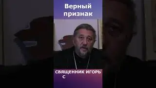 КАК ПОНЯТЬ, ЧТО ТЫ ПОД ВЛАСТЬЮ БЕСОВ? Священник Игорь Сильченков.