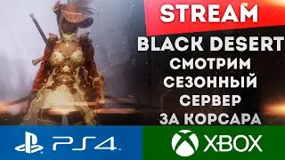 СМОТРИМ СЕЗОННЫЙ СЕРВЕР ЗА КОРСАРА BLACK DESERT PS4 PS5 XBOX