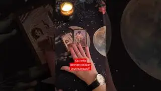 Ссылка на телеграм канал в закрепленном комментарии