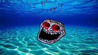 The 