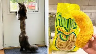 Фото, которые тебя удивят (часть 130)