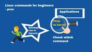 Linux commands for beginners | Linux proc command | Hands on experience with Linux commands