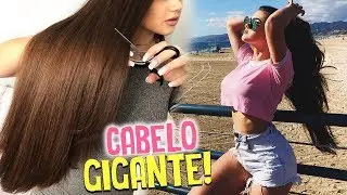 Como meu CABELO cresce TANTO? - Meus segredos