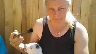 Как убрать рожки козочке 🐐