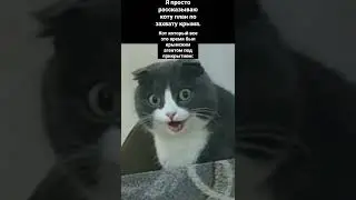 новый мем из тик тока 2022 