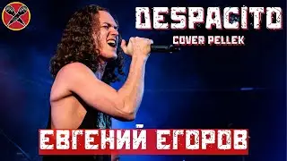 #ЕвгенийЕгоров