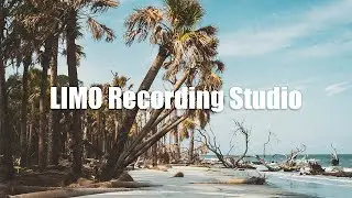 Dyalla - ILY Baby (No Copyright Music)